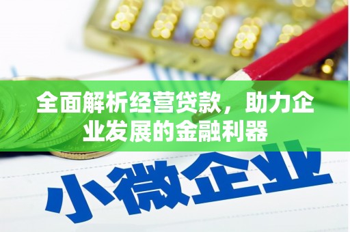 长子全面解析经营贷款，助力企业发展的金融利器