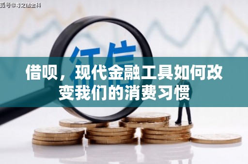 长子借呗，现代金融工具如何改变我们的消费习惯