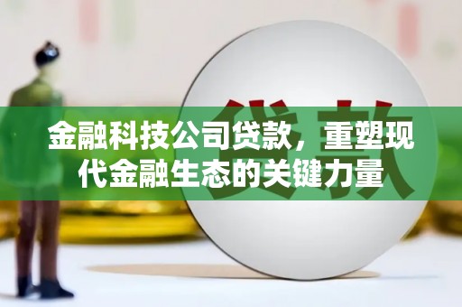 长子金融科技公司贷款，重塑现代金融生态的关键力量