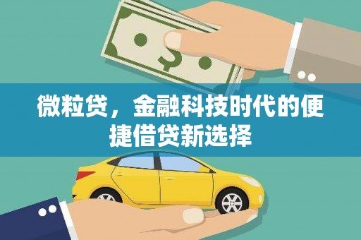 长子微粒贷，金融科技时代的便捷借贷新选择