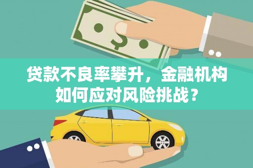 长子贷款不良率攀升，金融机构如何应对风险挑战？