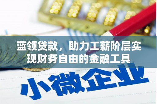 长子蓝领贷款，助力工薪阶层实现财务自由的金融工具