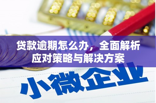 长子贷款逾期怎么办，全面解析应对策略与解决方案